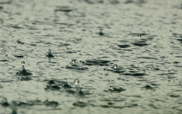Жълт код за проливни дъждове в 7 области в страната