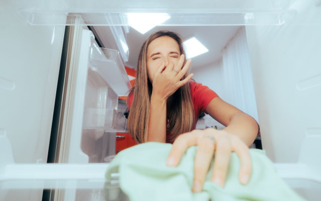Мит или факт хладилника ни разболява + какво е болест на мръсния хладилник