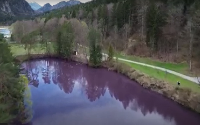 Баварско езеро стана лилаво, ето защо (ВИДЕО)