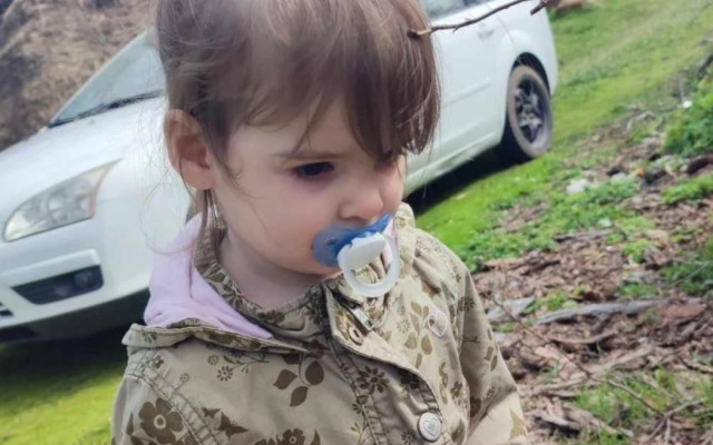 Арестувани са двама души, заподозрени в убийството на 2-годишната Данка