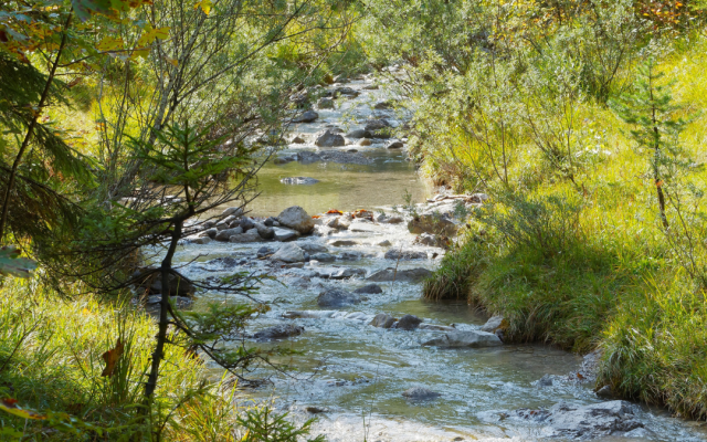 Отпадни води и фекалии се изливат в реките в Банско