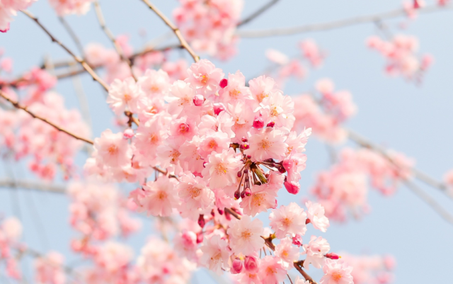 Температурни аномалии: Времето лудее през май, очакват ни резки обрати