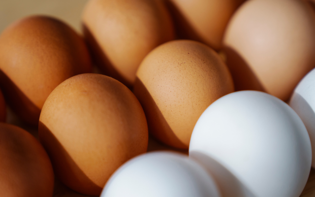 Кафяви или бели яйца за Великден? Каква е разликата