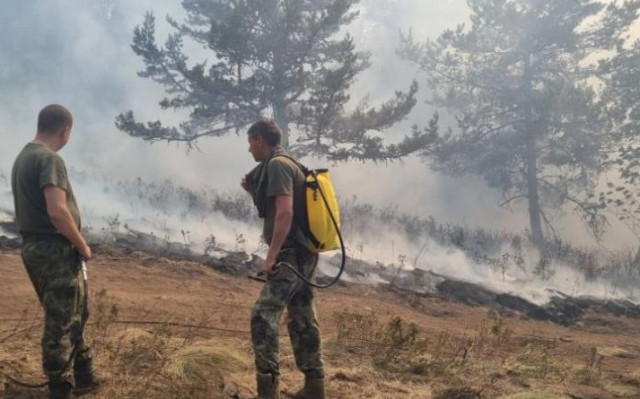 Пожарът на границата с Гърция: Ситуацията се е влошила
