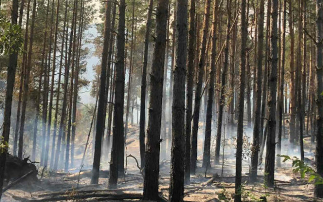 Спряха движението към язовир "40-те извора" заради пожара