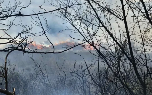 Голям пожар избухна край Кочериново в близост до дом за възрастни хора