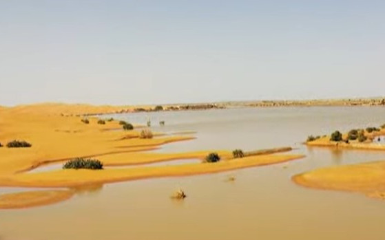 Сахара под вода: Рекордни валежи промениха лицето на пустинята