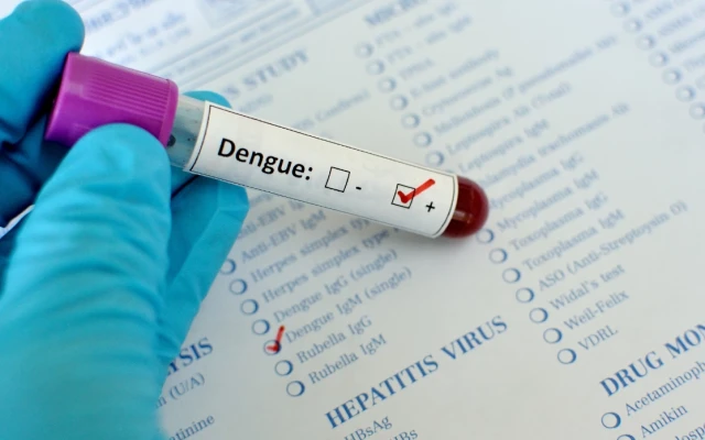 Д-р Марков: След години ще имаме хиляди случаи на денга в Европа