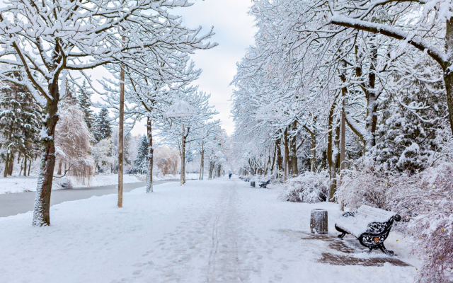 Нови снеговалежи ще има в нощта срещу четвъртък