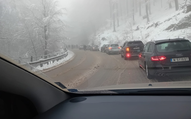 Силен вятър е съборил дървета на прохода "Петрохан"