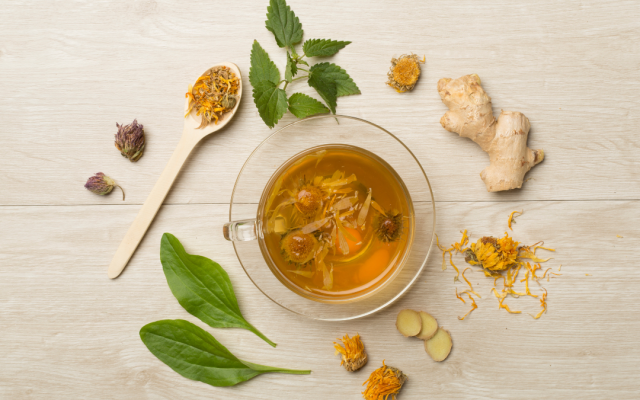 Ползите от чая от коприва: Защо и как да го пием