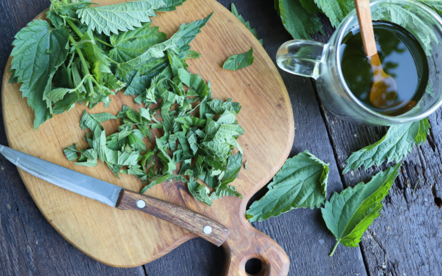 Време е за каша от коприва