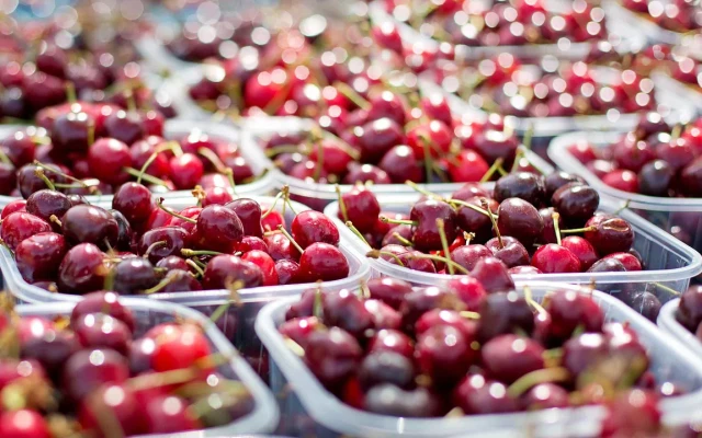 Между 50 и 60 лв. за килограм череши - равносметката от унищожената реколта