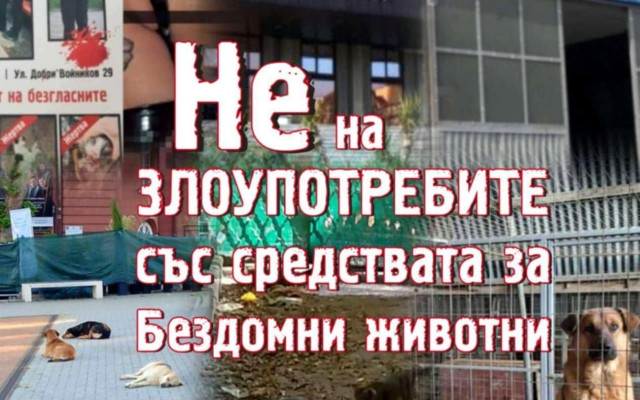Протест с палатков лагер днес във Варна:  Не на насилието над бездомните животни