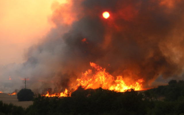 България – на първо място в ЕС по опожарени територии през последните две години