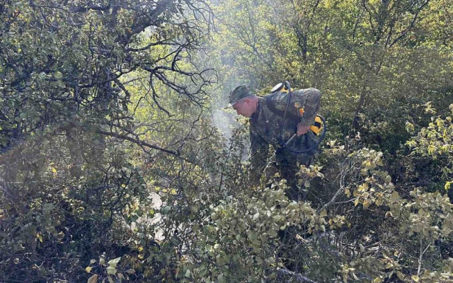 Военни и хеликоптери на ВВС гасят пожари на няколко места в страната