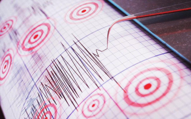 Нов трус в Турция!