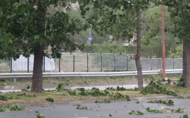 Паднали дървета, пожари и щети след бурята в Кюстендил