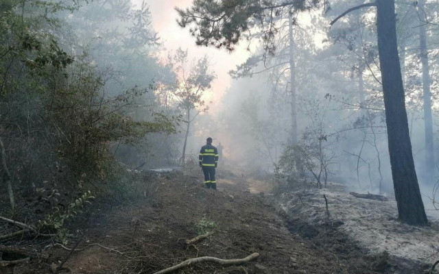 Пожарът в Сакар се разраства, вече са обхванати 7000 декара