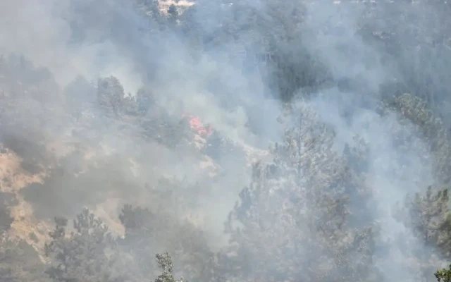 Щетите от пожара в Пирин са за над 16 милиона лева