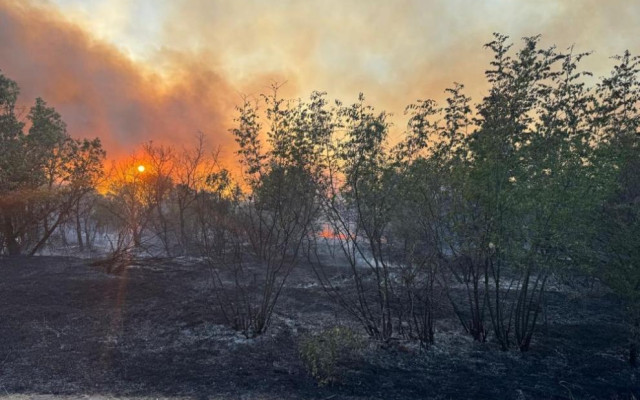 Пожарът в Сакар планина: 8000 дка обхванати от пламъци, огнеборци дежурят