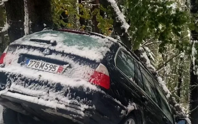 Тежък сняг покри Витоша! Важно предупреждение