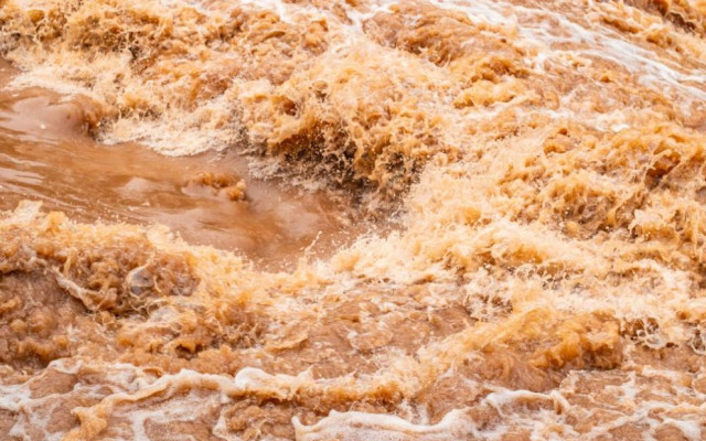 Река Елешница преля в района на Рилския манастир