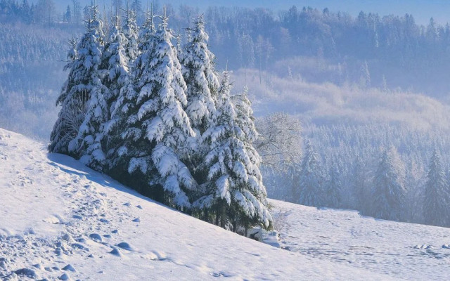 При минус 8° спасиха двама премръзнали туристи под Черни връх