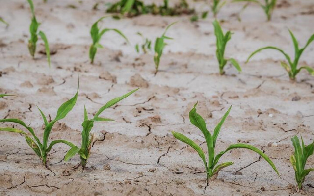 ООН: Светът е в ера на "глобален воден банкрут"