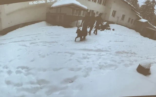 Турист с разказ през 2020 г.: От хижата в Петрохан излезе момче с изпокъсани гащи, каза ни да изчезваме