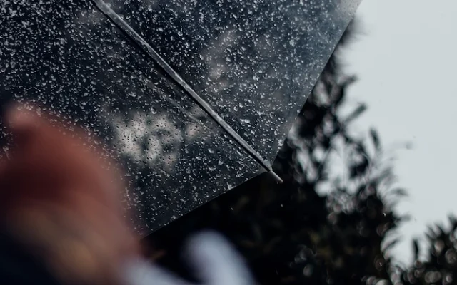 Сняг и дъжд ще преваляват в Източна България утре