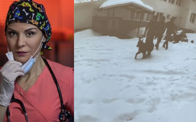 Наша актриса: Номинирам видеата от "Петрохан" за Оскари!