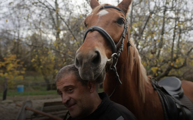 Кушия за Тодоровден и празник на конната полиция в София