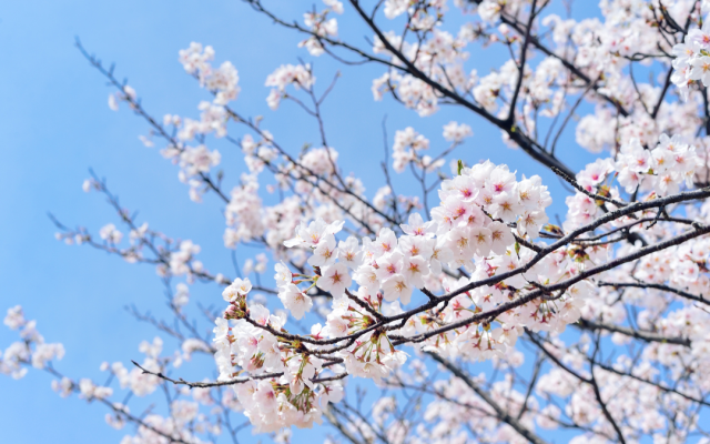 Топ синоптик с прогноза до 8 март. В събота снегът се завръща, а в сряда започва...