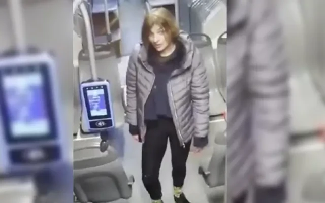 Пращат жената, наръгала четирима германци, в психиатрията в Ловеч