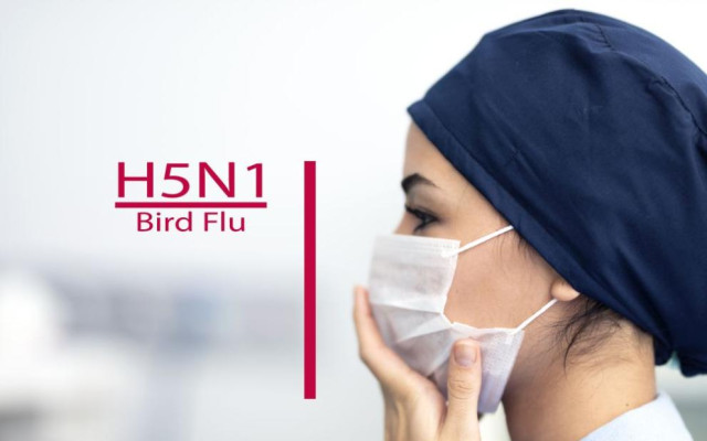 Първи случай на птичи грип при човек регистрираха в Италия