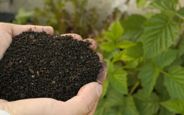 Има ли спекулация с цените на торовете?