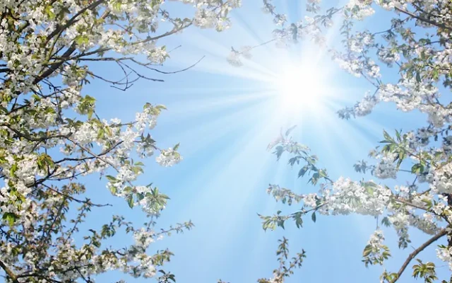 Термометрите скачат до 20 градуса