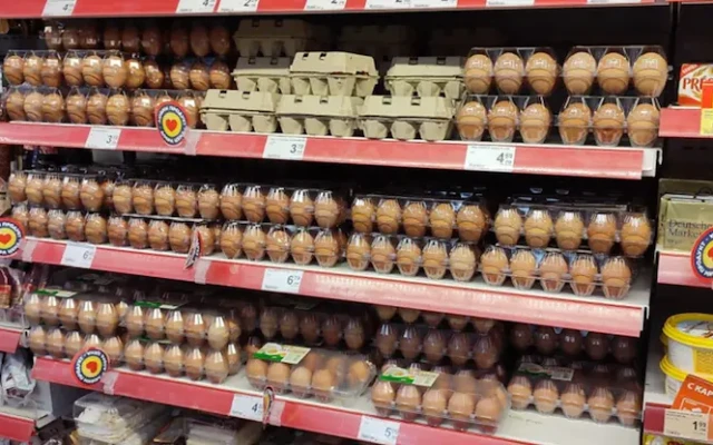 КНСБ: Цената на 10 яйца стига близо 3 евро