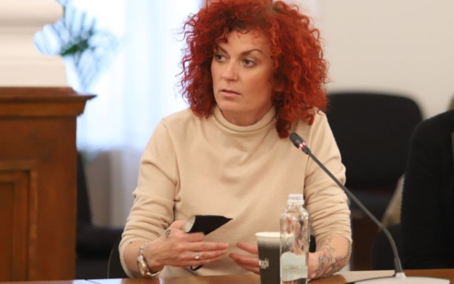 Люси Дяковска иска да е кмет на Плевен