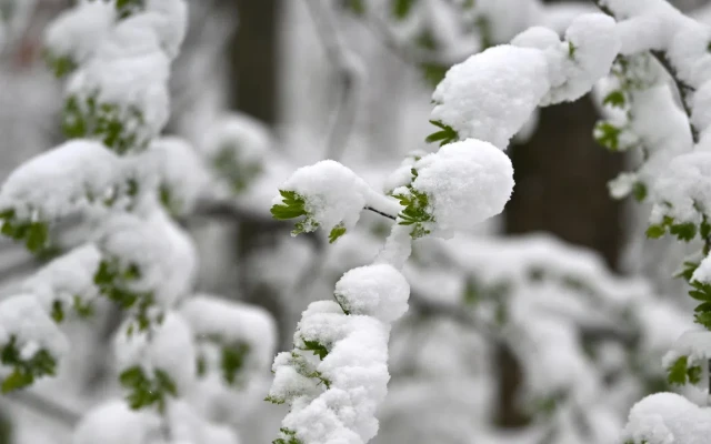Румъния посреща Великден със студ и сняг