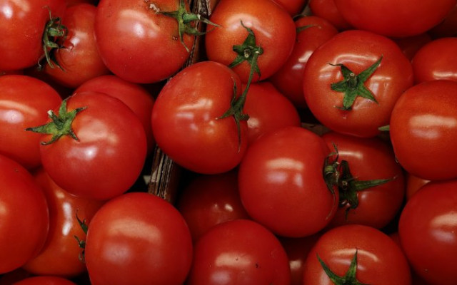 Спада производството на зеленчуци у нас