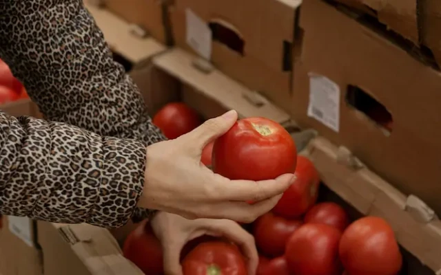 БАБХ блокира над 370 тона опасни храни на границата