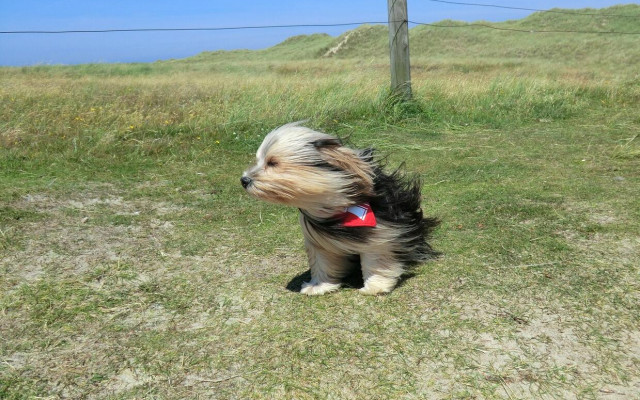 Времето във вторник: Жълт код за силен вятър в 6 области, валежи и гръмотевици в Родопите