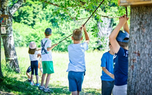 През лятото Витоша става класна стая на открито за децата на София
