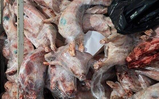 Втора незаконна кланица в Дебелец с 600 кг опасно месо