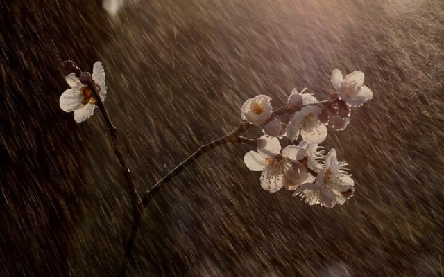 Обрат с времето - дъжд днес, от Великден се затопля, но ще вали