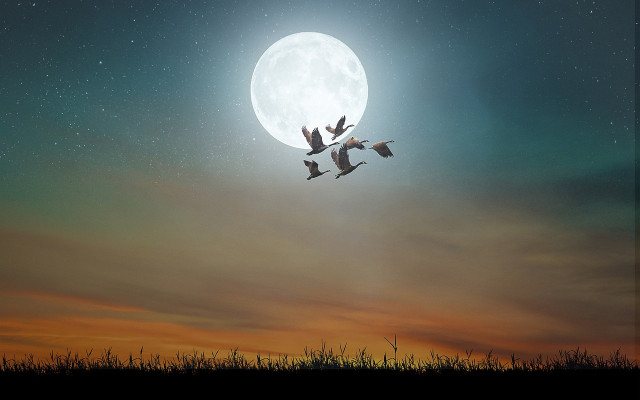 Пълнолунието на 2.04 във Везни: Какво ще донесе на всяка зодия?