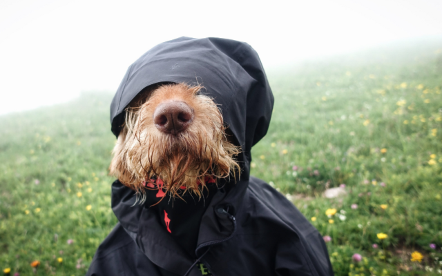 Времето в четвъртък: Дъжд, вятър и сняг в планините