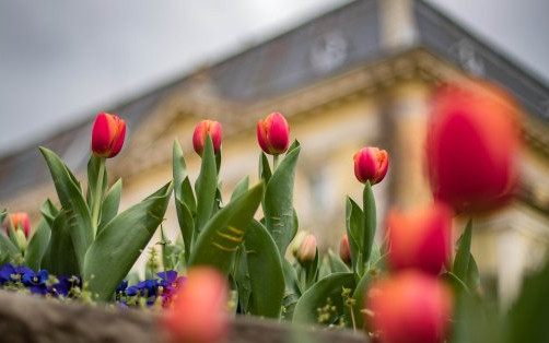 Студ или слънце: Какво време ни очаква около Великден